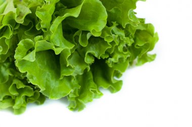 Beyaz arkaplanda yeşil marul.