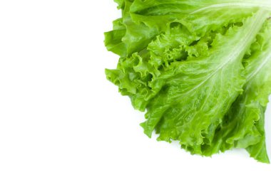 Beyaz arkaplanda yeşil marul.