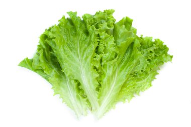 Beyaz arkaplanda yeşil marul.