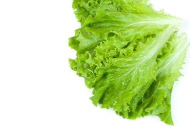 Beyaz arkaplanda yeşil marul.