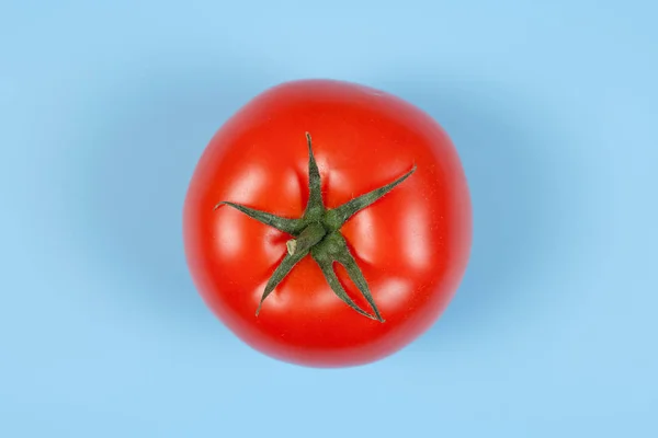 Tomate fraîche. Tomate isolée sur fond bleu — Photo