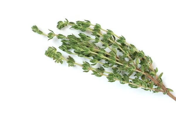 Beyaz arka planda taze yeşil kekme dalgak