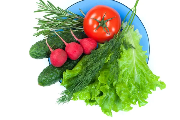 Verse kleurrijke biologische groenten gevangen van boven (bovenaanzicht, — Stockfoto