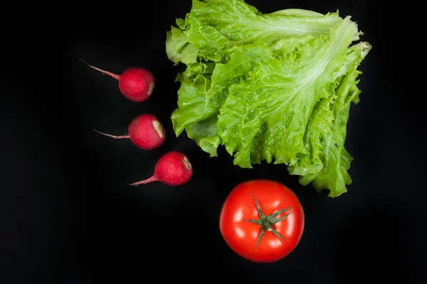 Grüner Salat, Rettich und Tomate isoliert auf schwarzem Hintergrund. c — Stockfoto