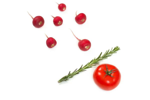 Radis rouge pourpre et légumes romarin isolés sur le dos blanc — Photo