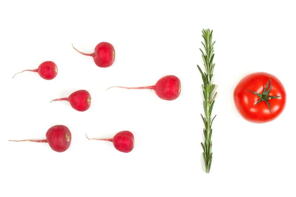 Szkarłatny czerwony rzodkiewka i ROZMARYNOWY warzywo na białym plecach — Zdjęcie stockowe