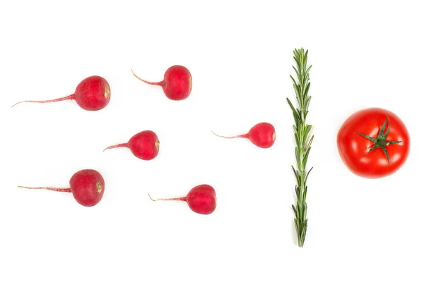 Radis rouge pourpre et légumes romarin isolés sur le dos blanc — Photo