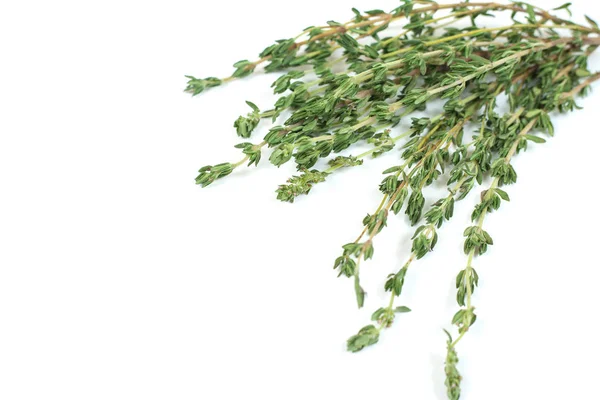 Fresh green thyme twig on white background — Stock Photo, Image