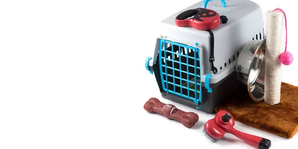 Tasma tasmalı tasma. Beyaz arka planda izole edilmiş köpekler için taraklar ve fırçalar.