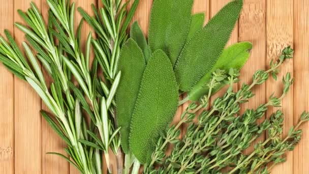 Collection Fresh Herbs Cooking Isolated Wood Background Bunch Herbs — Stock Video