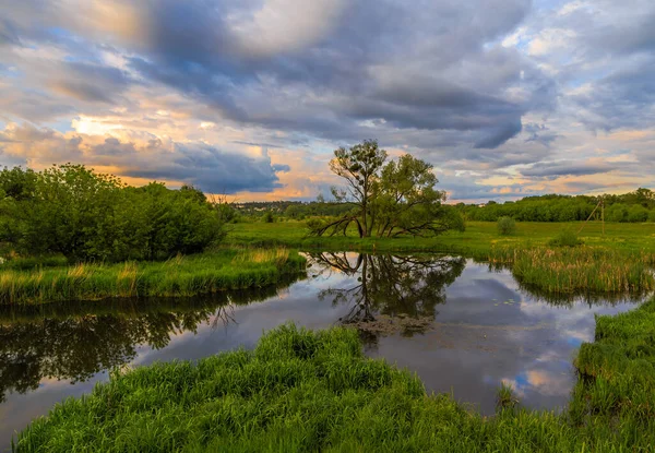 Sunset Ukraine Kiev Region 2020 — Stock Photo, Image