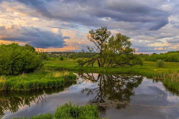 Ukrayna 'da günbatımı. Kiev bölgesi. 31 yaşında. - 05. 2020