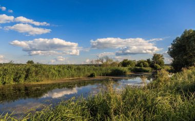 Yeşil Ukrayna. Irpen Nehri, Knyazhichi köyü. Kiev bölgesi. Ukrayna. 9 Ağustos 2020
