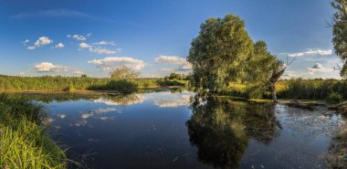 Yeşil Ukrayna. Irpen Nehri, Knyazhichi köyü. Kiev bölgesi. Ukrayna. 9 Ağustos 2020