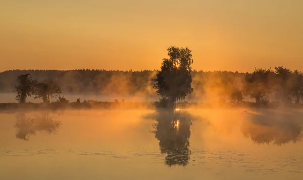 Poranny Spacer Mgłą Nad Jeziorami Kijowa Ukraina Września 2020 — Zdjęcie stockowe