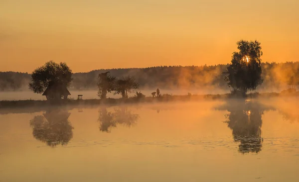 Morning walk with fog. On the lakes of the Kiev region. Ukraine. September 21, 2020