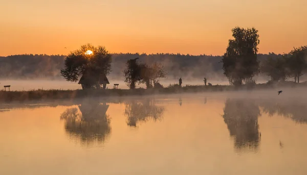 Marche Matinale Avec Brouillard Sur Les Lacs Région Kiev Ukraine — Photo