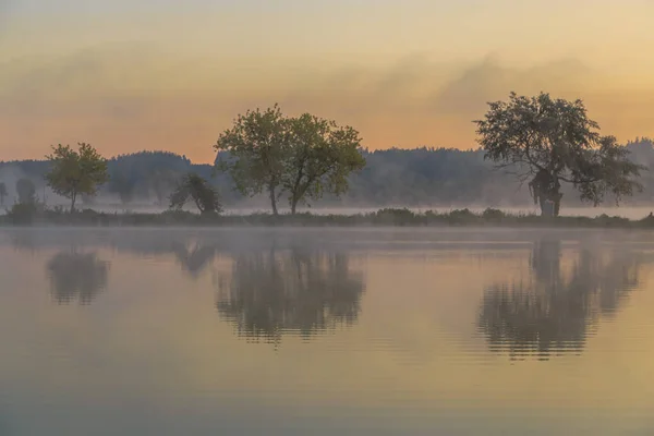 Promenade Avec Brouillard Matinal Sur Lac Pêche Aube Région Kiev — Photo