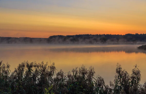 Walk Morning Fog Lake Fishing Dawn Kiev Region Ukraine September — Stock Photo, Image