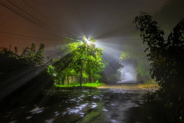 霧の街の通りに沿って夜歩く ボヤルカの町 キエフ地方 ウクライナだ 2020年10月7日 — ストック写真
