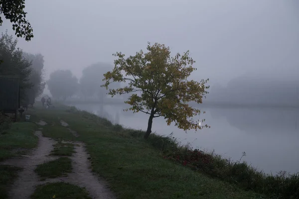 Walk on the lake in the morning fog. Fishing at dawn. Kiev region, Ukraine. September 10, 2020