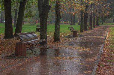 Sonbahar parkında yağmurda yürümek. Boyarka kasabası. Kiev bölgesi, Ukrayna. 17 Ekim 2020