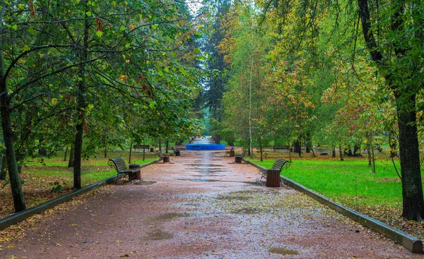 Caminhe Chuva Parque Outono Cidade Boyarka Região Kiev Ucrânia Outubro — Fotografia de Stock
