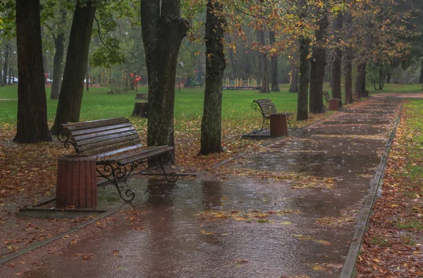 Sonbahar Parkında Yağmurda Yürümek Boyarka Kasabası Kiev Bölgesi Ukrayna Ekim — Stok fotoğraf