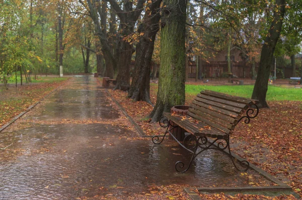 Περπατήστε Στη Βροχή Στο Πάρκο Φθινόπωρο Πόλη Μπογιάρκα Περιφέρεια Κιέβου — Φωτογραφία Αρχείου
