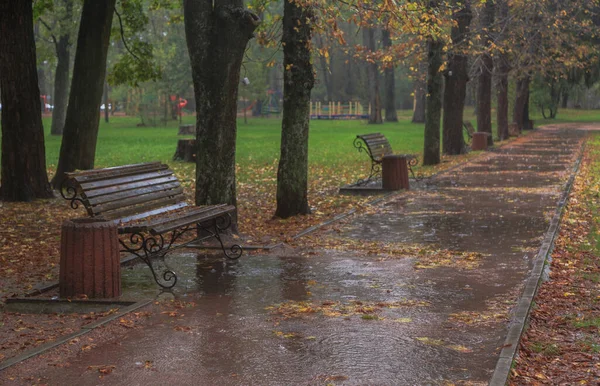 Sonbahar Parkında Yağmurda Yürümek Boyarka Kasabası Kiev Bölgesi Ukrayna Ekim — Stok fotoğraf