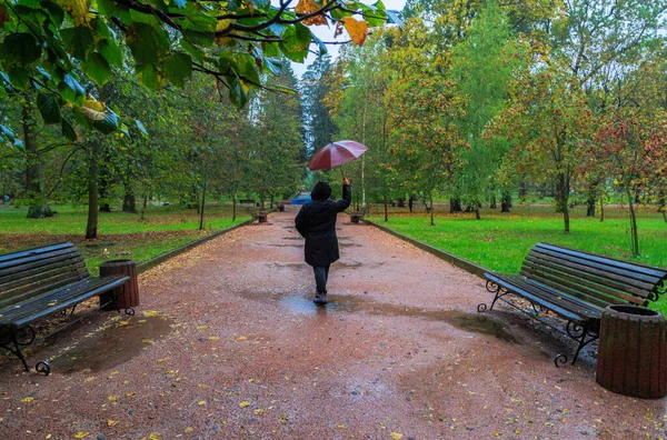 Camina Bajo Lluvia Parque Otoño Ciudad Boyarka Región Kiev Ucrania — Foto de Stock