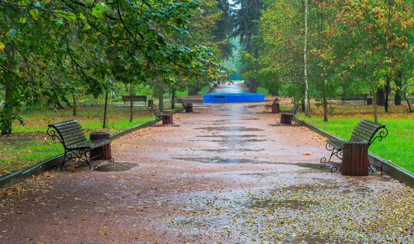Camina Bajo Lluvia Parque Otoño Ciudad Boyarka Región Kiev Ucrania — Foto de Stock