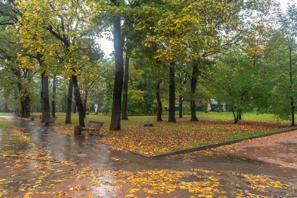 Caminhe Chuva Parque Outono Cidade Boyarka Região Kiev Ucrânia Outubro — Fotografia de Stock