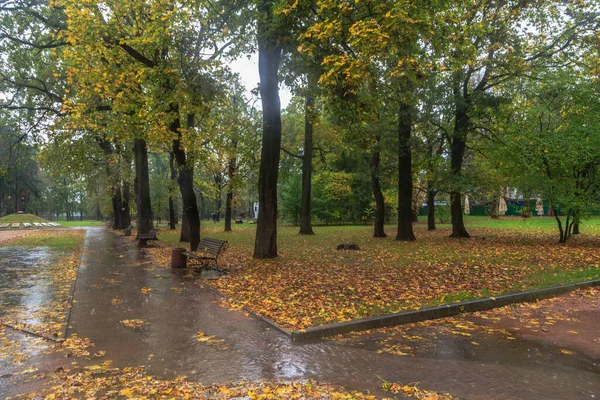 Camina Bajo Lluvia Parque Otoño Ciudad Boyarka Región Kiev Ucrania — Foto de Stock