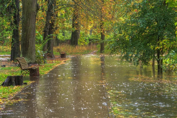 Walk in the rain in the autumn park. Boyarka town. Kiev region, Ukraine. 17 october 2020