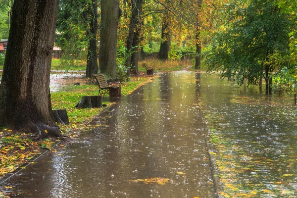 Walk in the rain in the autumn park. Boyarka town. Kiev region, Ukraine. 17 october 2020