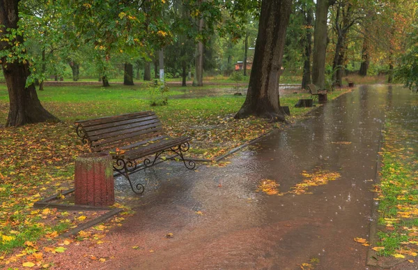 Sonbahar Parkında Yağmurda Yürümek Boyarka Kasabası Kiev Bölgesi Ukrayna Ekim — Stok fotoğraf