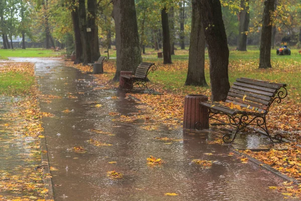 Caminhe Chuva Parque Outono Cidade Boyarka Região Kiev Ucrânia Outubro — Fotografia de Stock