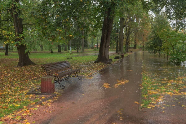 Sonbahar Parkında Yağmurda Yürümek Boyarka Kasabası Kiev Bölgesi Ukrayna Ekim — Stok fotoğraf