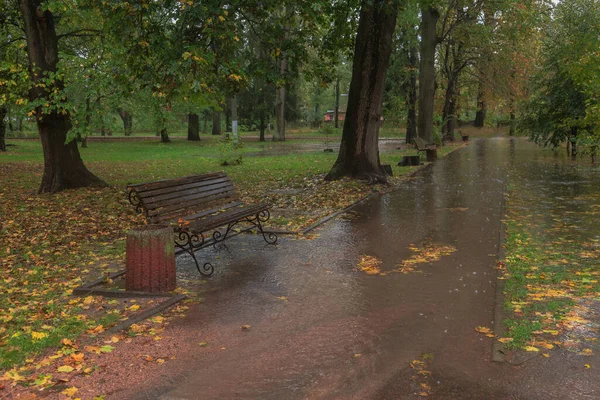 Caminhe Chuva Parque Outono Cidade Boyarka Região Kiev Ucrânia Outubro — Fotografia de Stock