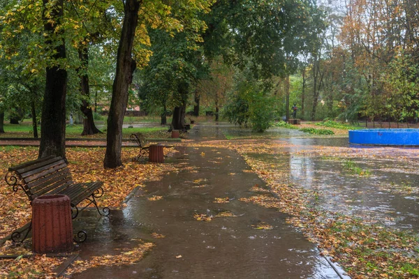 Sonbahar parkında yağmurda yürümek. Boyarka kasabası. Kiev bölgesi, Ukrayna. 17 Ekim 2020