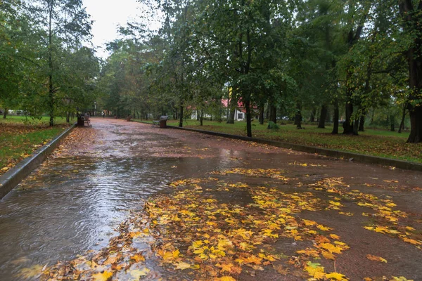 Promenade Sous Pluie Dans Parc Automne Boyarka Ville Région Kiev — Photo