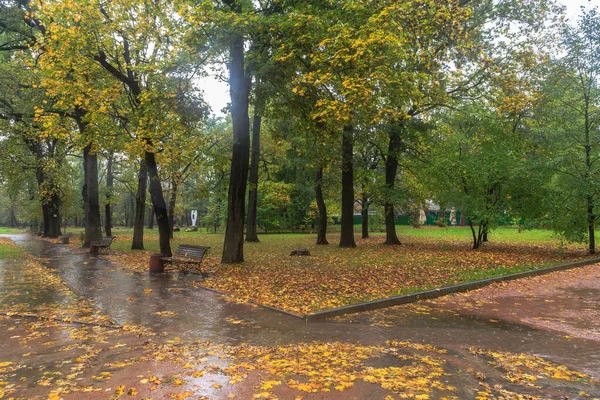 Walk in the rain in the autumn park. Boyarka town. Kiev region, Ukraine. 17 october 2020