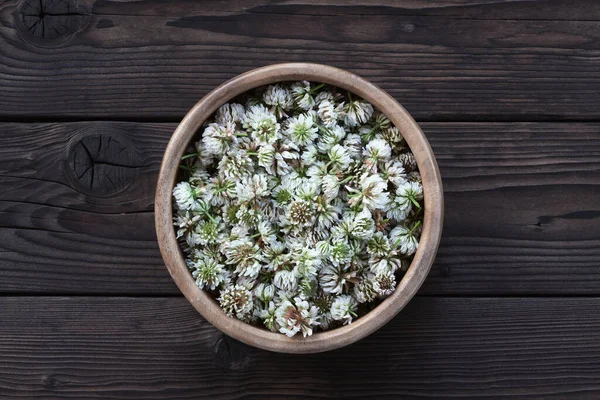 Kurutmak Için Toplanan Beyaz Yonca Çiçekleri Tıbbi Tentürleri Hazırlıyor Taze — Stok fotoğraf