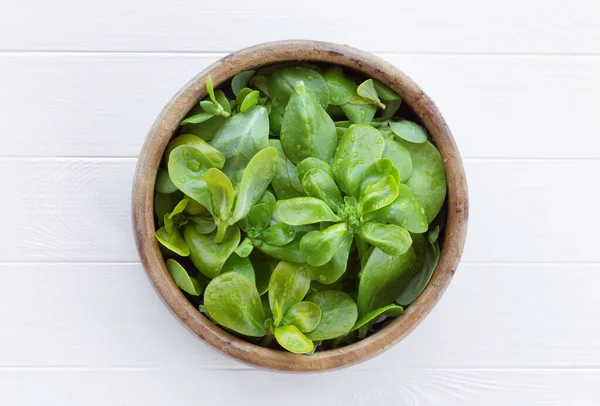 Tahta Bir Kasede Beyaz Tahta Bir Masada Purslane Taze Purslane — Stok fotoğraf