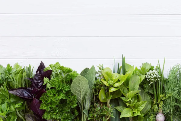 Erbe Fresche Dal Giardino Tavolo Bianco Con Spazio Copia Del — Foto Stock