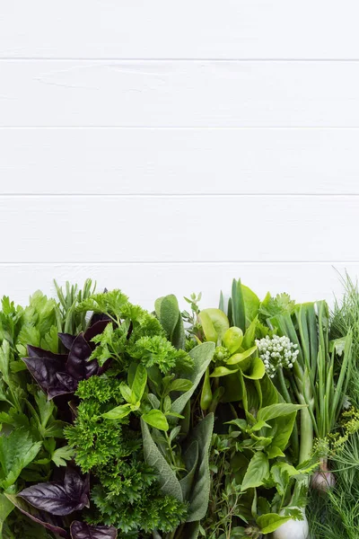テキスト用のコピースペースがある白い背景に庭から新鮮なハーブ 芳香族ハーブや料理のための他の成分の大規模なコレクション — ストック写真