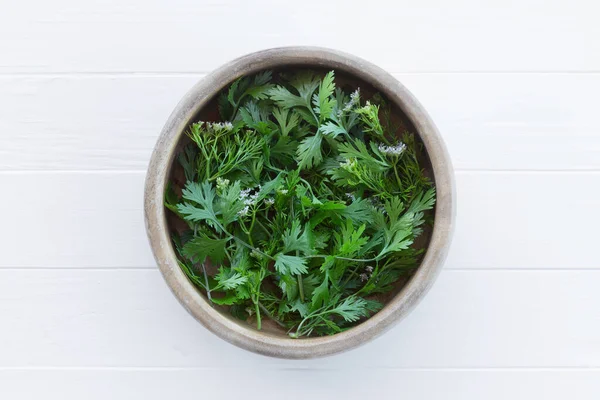 Cilantro Een Houten Kom Verse Takjes Bloemen Van Koriander Uit — Stockfoto