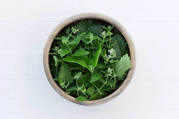 Fresh Lemon Balm Leaves Melissa Wooden Bowl Fresh Organic Herbs — Stock Photo, Image