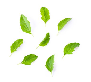 Beyaz arka planda izole edilmiş kutsal fesleğen yaprağı. en üstteki görünüm